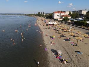 eine Gruppe von Menschen an einem Strand im Wasser in der Unterkunft Danubiana Apartments 5 in Kladovo