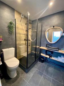 a bathroom with a shower and a toilet and a mirror at Appartements du 101 in Villeneuve d'Ascq