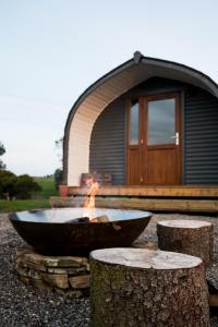 Wild Northumberland Glamping في هيكسهام: حفرة حريق أمام مبنى صغير