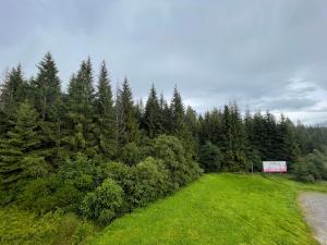 Táj az apartman közelében