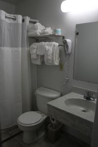 een badkamer met een toilet en een wastafel bij The Anchor Inn in Watkins Glen