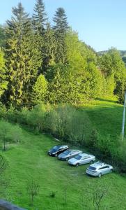 Príroda v okolí apartmánu