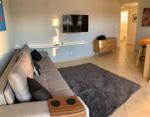 un salon avec un canapé et une télévision dans l'établissement Apartamento ao lado da UFOP com garagem, à Ouro Preto