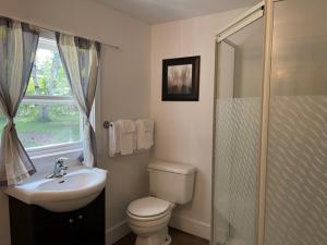 a bathroom with a toilet and a sink and a shower at By the Bay Cottages in Stanhope