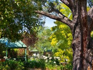 a garden with a gazebo and a tree at Lucini Cottage in Hepburn Springs +2 photos