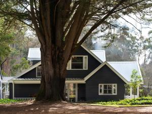 Una casa negra con un árbol delante. en The Orchard, en Daylesford