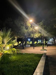 Κήπος έξω από το Hotel Chaika