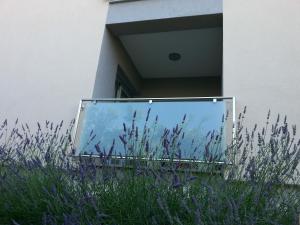 Fotografie z fotogalerie ubytování Apartments Levanat v destinaci Zadar