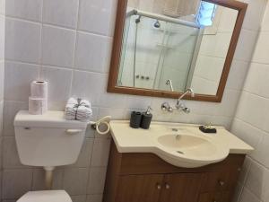 W łazience znajduje się toaleta, umywalka i lustro. w obiekcie דירה במדבר w Ejlat