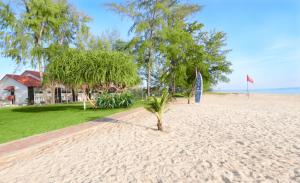 una palma nella sabbia su una spiaggia di Villea Rompin Resort & Golf a Kuala Rompin