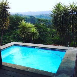 a swimming pool with palm trees in the background at Patogeng Self Catering - Da Gama Dam view in White River