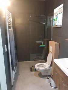 W łazience znajduje się toaleta i przeszklony prysznic. w obiekcie Eden w mieście Sint-Pauwels