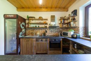 uma cozinha com um balcão com um lavatório e um micro-ondas em Farma Javor em Horná Lehota
