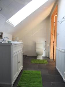 a bathroom with a toilet and a green rug at Ferienhaus "Platzhirsch" in Hollenstein an der Ybbs