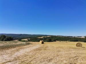 Fotografie z fotogalerie ubytování Cal Calçó v destinaci Pinós