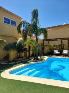a swimming pool in front of a house with palm trees at Casa Mestre Guesthouse in Vila do Bispo
