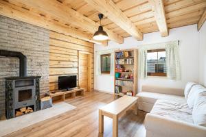 TV a/nebo společenská místnost v ubytování Drevenice Liptov - ski & hiking apartments + 89 fotografií