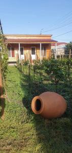 克瓦雷利的住宿－Cottage and Gigo Papa's Wine Cellar，坐在房子前面的草上的一个大花瓶