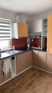 a kitchen with brown cabinets and a sink at W apartmán 2 in Teplice nad Metují