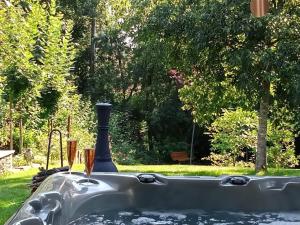 a bath tub with a black object in a garden at Logis du Parc in Saint-Fulgent