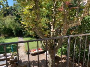 un árbol sentado junto a una cerca de metal en Le Transvaal-Maison d'Hôtes en Marsella