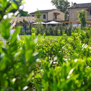 un jardin avec une aire de jeux en arrière-plan dans l'établissement Moretti Village - B&B, à Civitanova Marche