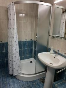 クルジュ・ナポカにあるVila Vandaのバスルーム(シャワー、シンク付)