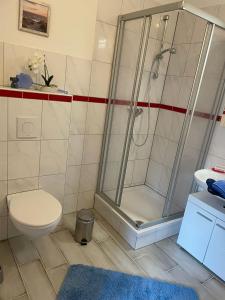 a bathroom with a shower and a toilet at M24 in Hecklingen