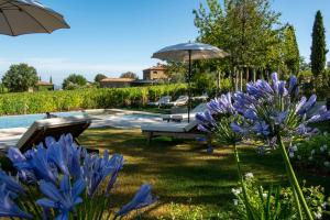 Villa Le Prata - Farm House & Winery - Adults Only في مونتالشينو: حديقة بها زهور زرقاء ومظلة