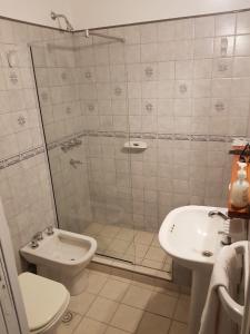 a bathroom with a shower and a toilet and a sink at Departamentos EL Colono PB 3 in Viedma
