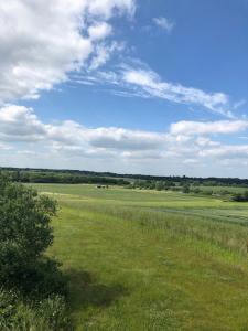 Rockinghams Farm في Layer Marney: حقل من العشب مع السماء الزرقاء والغيوم