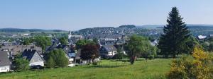 a village with houses and trees on a hill at Ferienwohnung Haus Ruhrkopfblick in Winterberg