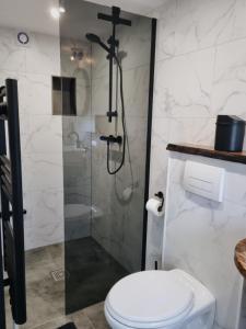 een badkamer met een douche, een toilet en een glazen douchecabine bij Kavel 90 in Den Burg