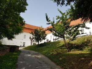 a road in front of a white building with trees at Fado Apartments Lendava in Lendava