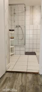 a shower with a glass door in a bathroom at Monteurwohnung Krüger Bitterfeld-Wolfen in Steinfurth