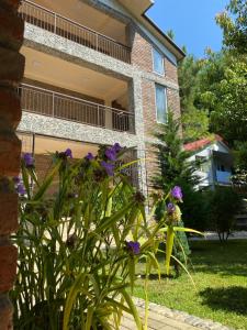 Jardí fora de Guest House Shekvetili