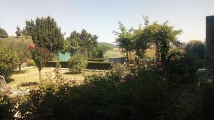 Сад в La Vigneronne