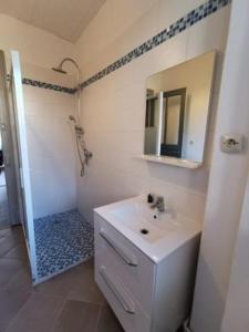 La salle de bains est pourvue d'un lavabo et d'une douche avec un miroir. dans l'établissement STAY IN MULHOUSE, à Mulhouse