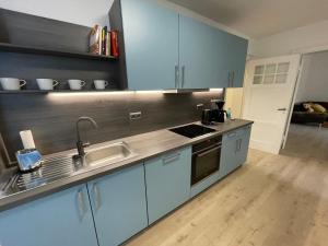 Η κουζίνα ή μικρή κουζίνα στο Großzügige Souterrainwohnung in historischer Stadtvilla im Herzen Zellerfelds