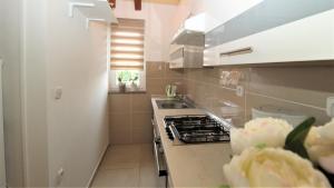 a kitchen with a stove and a counter top at Apartments Brcic in Tar