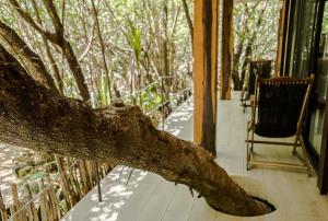 Fotografie z fotogalerie ubytování Sunset House v destinaci Tulum