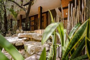 Zahrada ubytování Sunset House