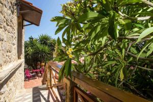 a wooden fence with plants in a garden at Attiki Hotel in Rhodes Town