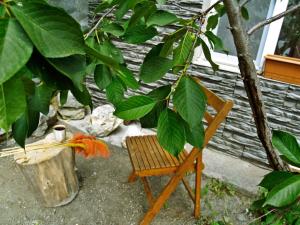a wooden chair sitting next to a tree at Lemona in Stepantsminda