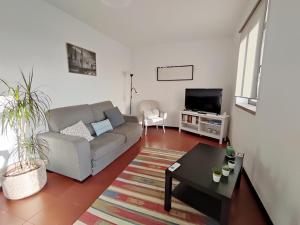a living room with a couch and a tv at Apartamentos Cimo de Vila in Vouzela