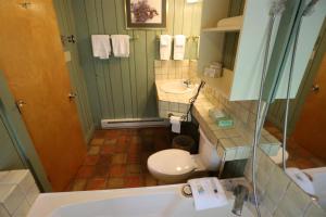 uma casa de banho com um WC, um lavatório e uma banheira em Inns Of Wv 201, 2 Bd, Waterville Valley em Waterville Valley