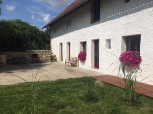 Zahrada ubytování Apartmán Židovice