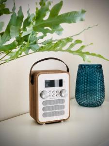 a toaster and a blue vase next to a plant at Ferienwohnung no.55 in Lörrach