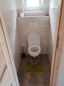 a small bathroom with a toilet with a green rug at Roubenka Strmá in Jeseník