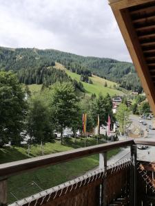 Táj az apartman közelében